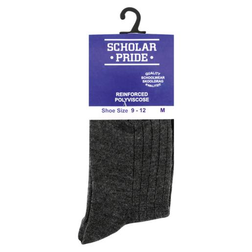 Scholar Pride Boys Grey Polyviscose Socks Medium