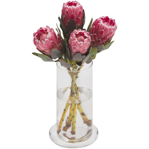 Protea Flower Single (Vase Not Included)